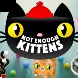 Not Enough Kittens