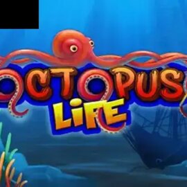 Octopus Life
