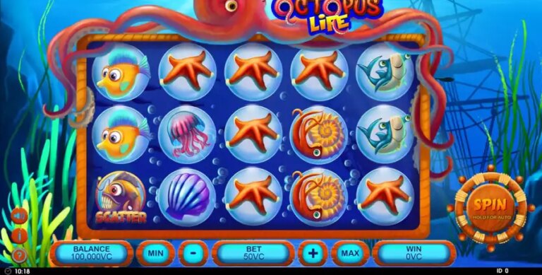 Octopus Life