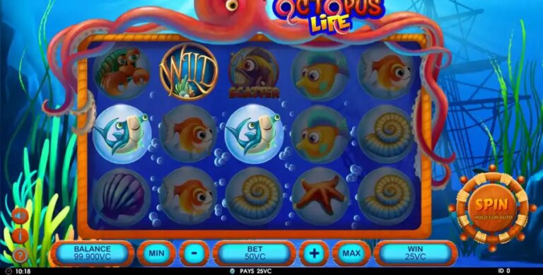 Octopus Life