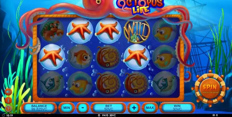 Octopus Life