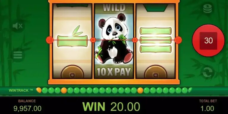 One Panda