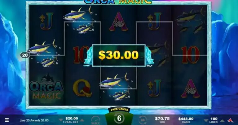 Orca Magic