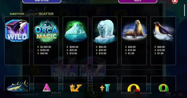 Orca Magic