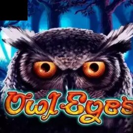 Owl Eyes NEW