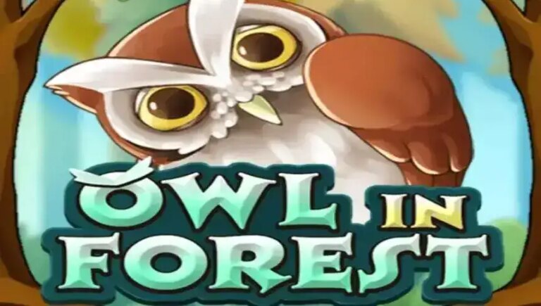 Owl In Forest
