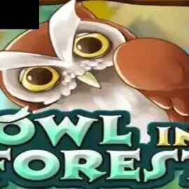 Owl In Forest