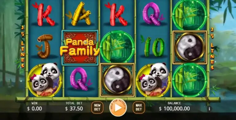 Panda Family