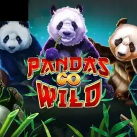 Pandas Go Wild