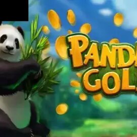 Panda’s Gold (XIN Gaming)