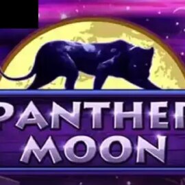 Panther Moon
