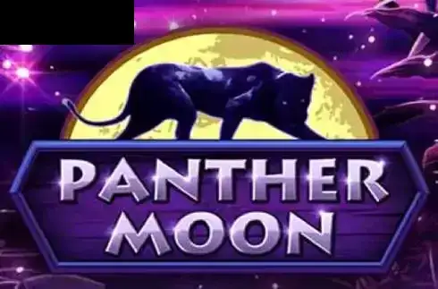 Panther Moon