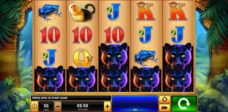 Panther Pays