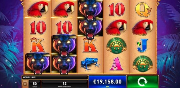 Panther Pays
