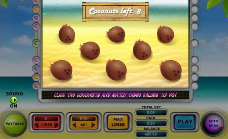 Paradise Reels