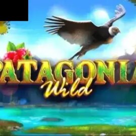 Patagonia Wild