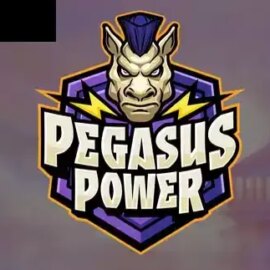 Pegasus Power