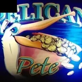 Pelican Pete