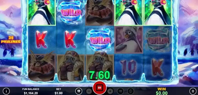 Penguin Palooza
