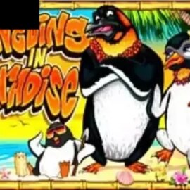 Penguins in Paradise