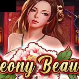 Peony Beauty
