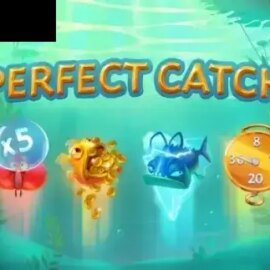 Perfect Catch