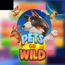 Pets Go Wild