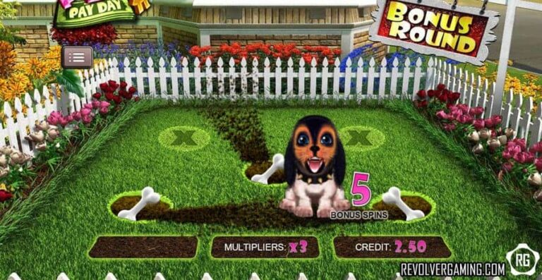 Pets Payday