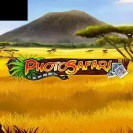 Photo Safari