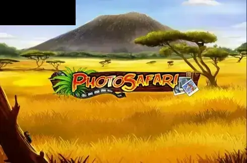 Photo Safari