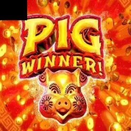 Pig Winner