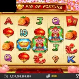 Pig of Fortune