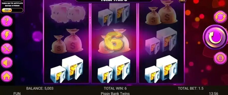 Piggy Bank Twins