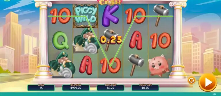 Piggy Cash
