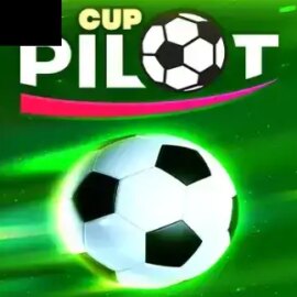 Pilot Cup