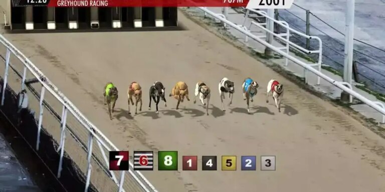 Platinum Hounds
