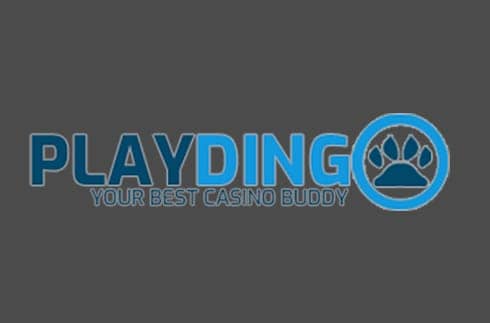Play Dingo