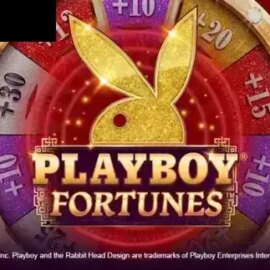 Playboy Fortunes