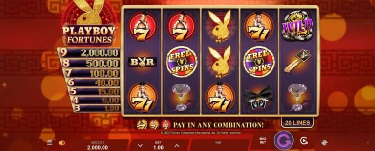 Playboy Fortunes