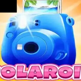 Polaroid