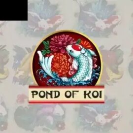 Pond Of Koi