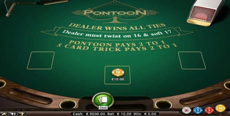 Pontoon Professional Series