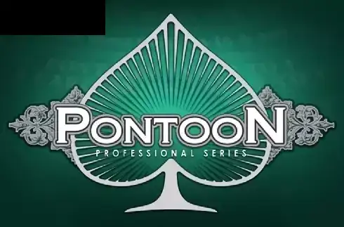 Pontoon Professional Series High Limit