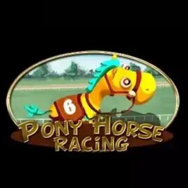 Pony Horse Racing