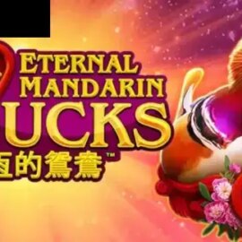 Power Prizes Eternal Mandarin Ducks