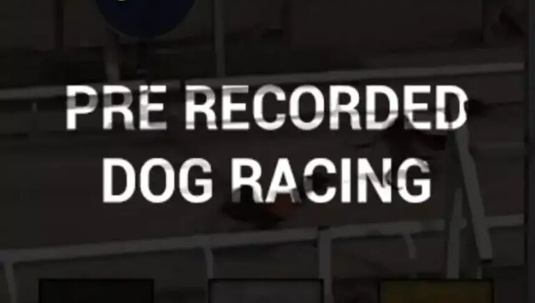 Pre-recorded Dog Racing