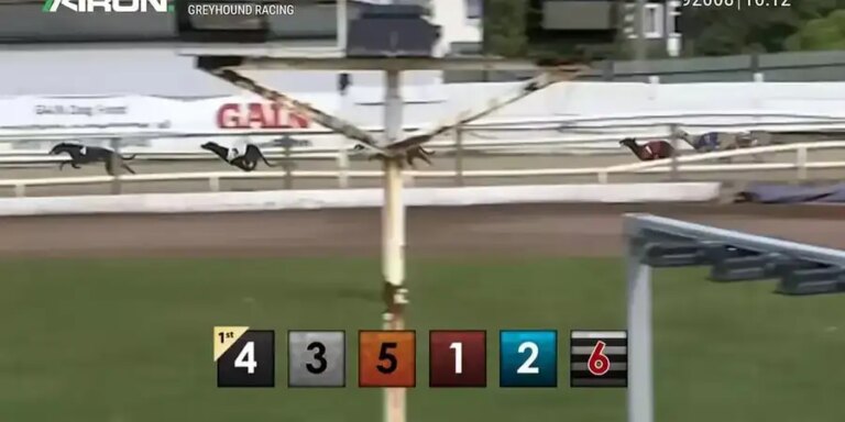 Pre-recorded Dog Racing
