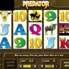Predator