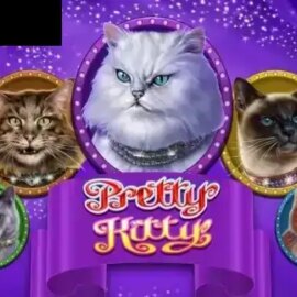 Pretty Kitty