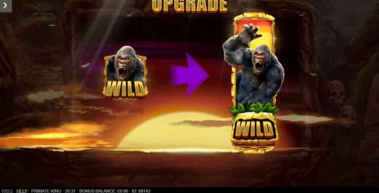 Primate King